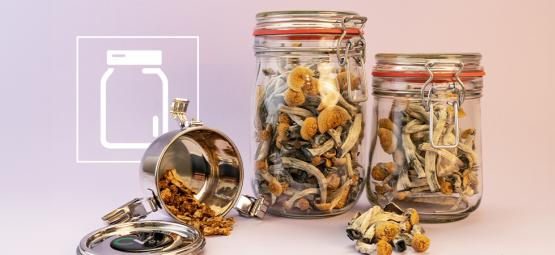 How to store magic mushrooms