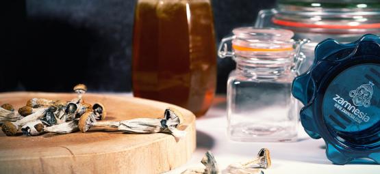 Modrý med: Jak si vyrobit psychedelický med z lysohlávek