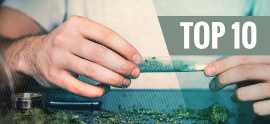 Top 10 důvodů, proč skoncovat s tabákem a kouřit čisté konopí