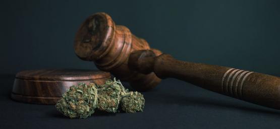 10 důvodů, proč by všechny drogy měly být legální