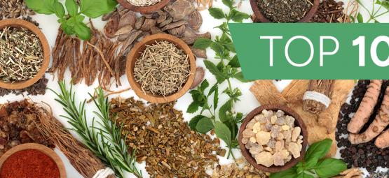 Top 10 nejbizarnějších legálních highů