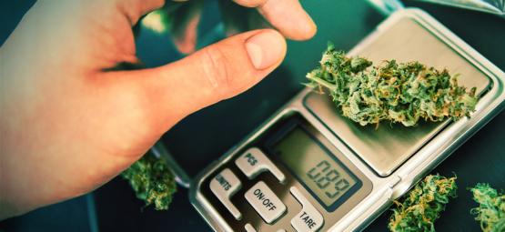 Jak vybrat přesnou váhu na gramy a miligramy