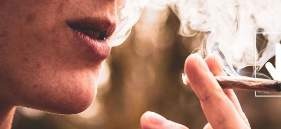 Tolerance na konopí: Co to je a jak ji snížit