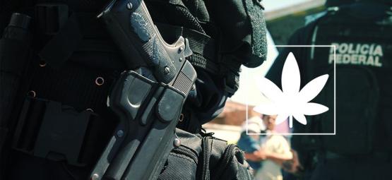 Selhávající válka proti drogám – shrnutí