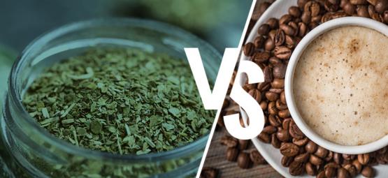 Yerba maté vs. káva: Má smysl na ni přejít?