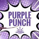 Purple Punch: Chuť, s&iacute;la a kr&aacute;sa v jednom