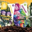 Přehl&iacute;dka odrůd Zamnesia: Objevte vz&aacute;cn&eacute; klenoty