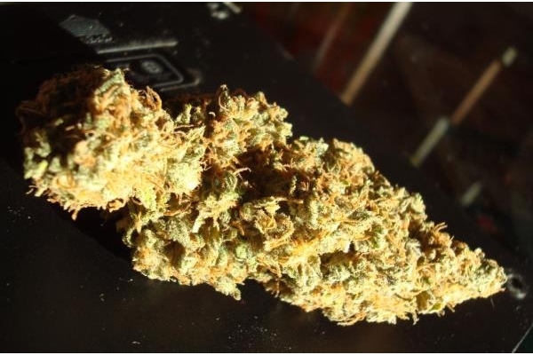 Power Flower (Royal Queen Seeds) feminizovaná