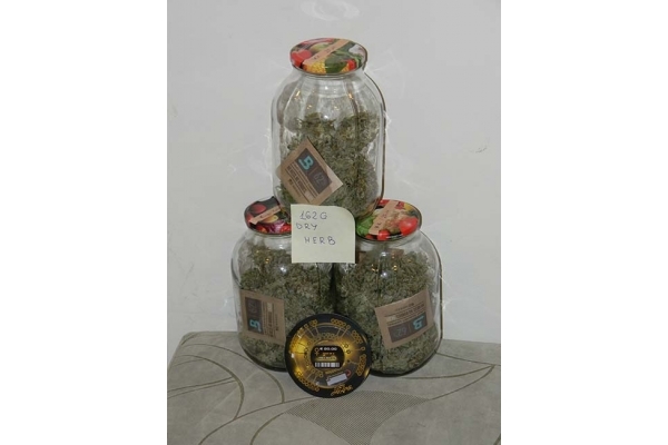 King's Kush Samonakvétací (Greenhouse Seeds) feminizovaná