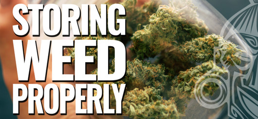 Jak správně skladovat své konopí