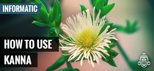 Jak používat: Kanna