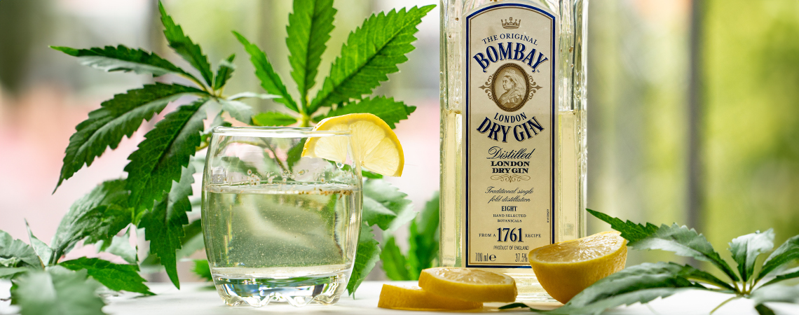 How to make ginjah: cannabis gin and tonic